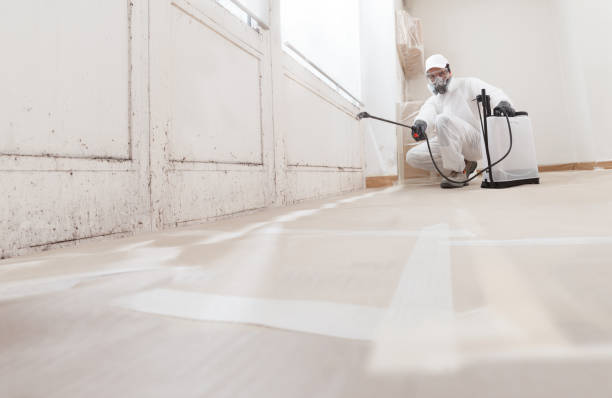 24/7 Emergency Mold Inspection experts in Morrisville, NC