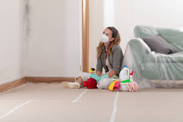 Reliable Mold Inspection contractor in Morrisville, NC by WQB Mold Removal